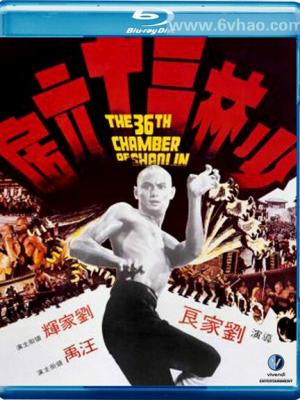 忘却之城